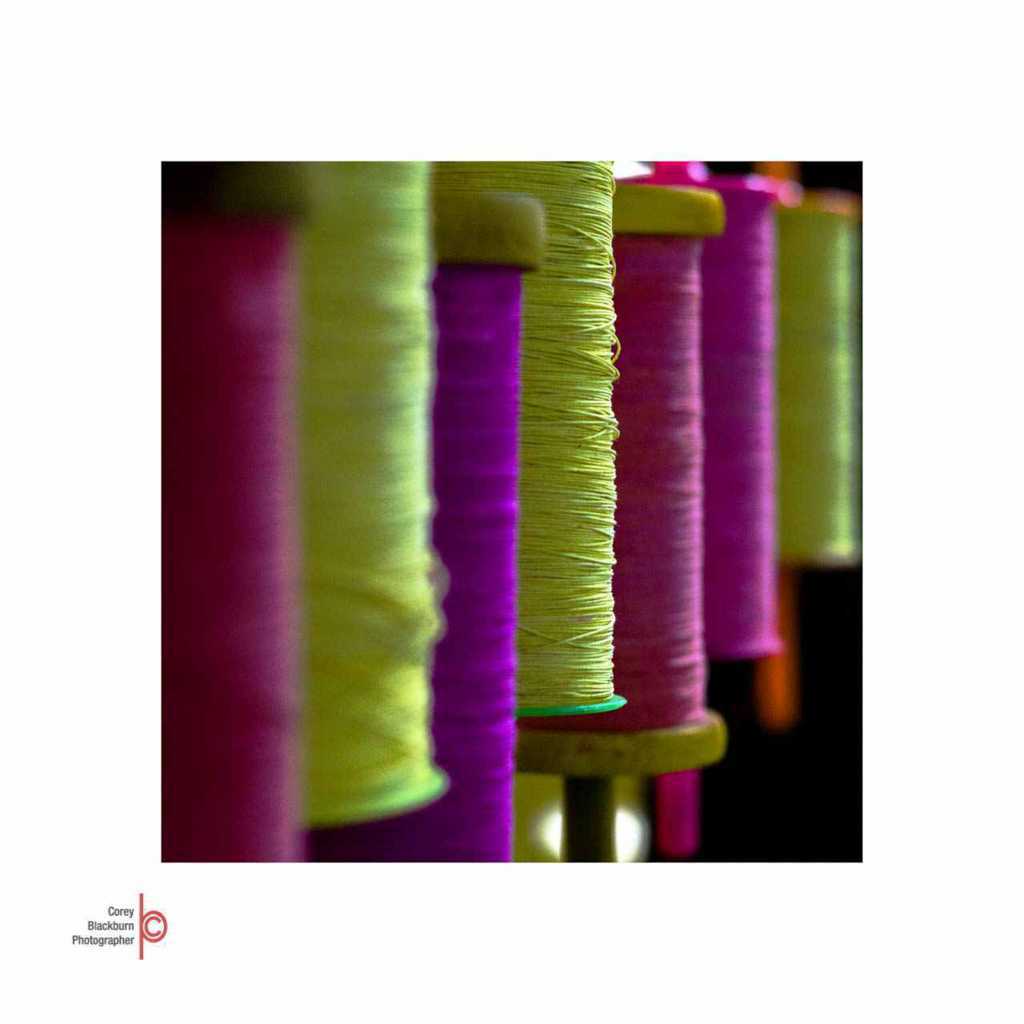 Fine Art Details 02 - Corey Blackburn Photographer - Weddings | Pregnancy | Newborn | Portrait | Fine Art | Commercial | Journalism